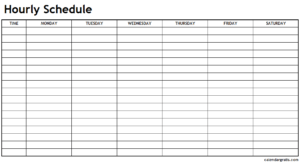 Printable Hourly Schedule Template - 24 Hours Planner Blank Templates