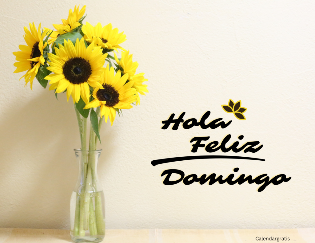 Hola Feliz Domingo Imágenes | Saluda a Tus Seres Queridos